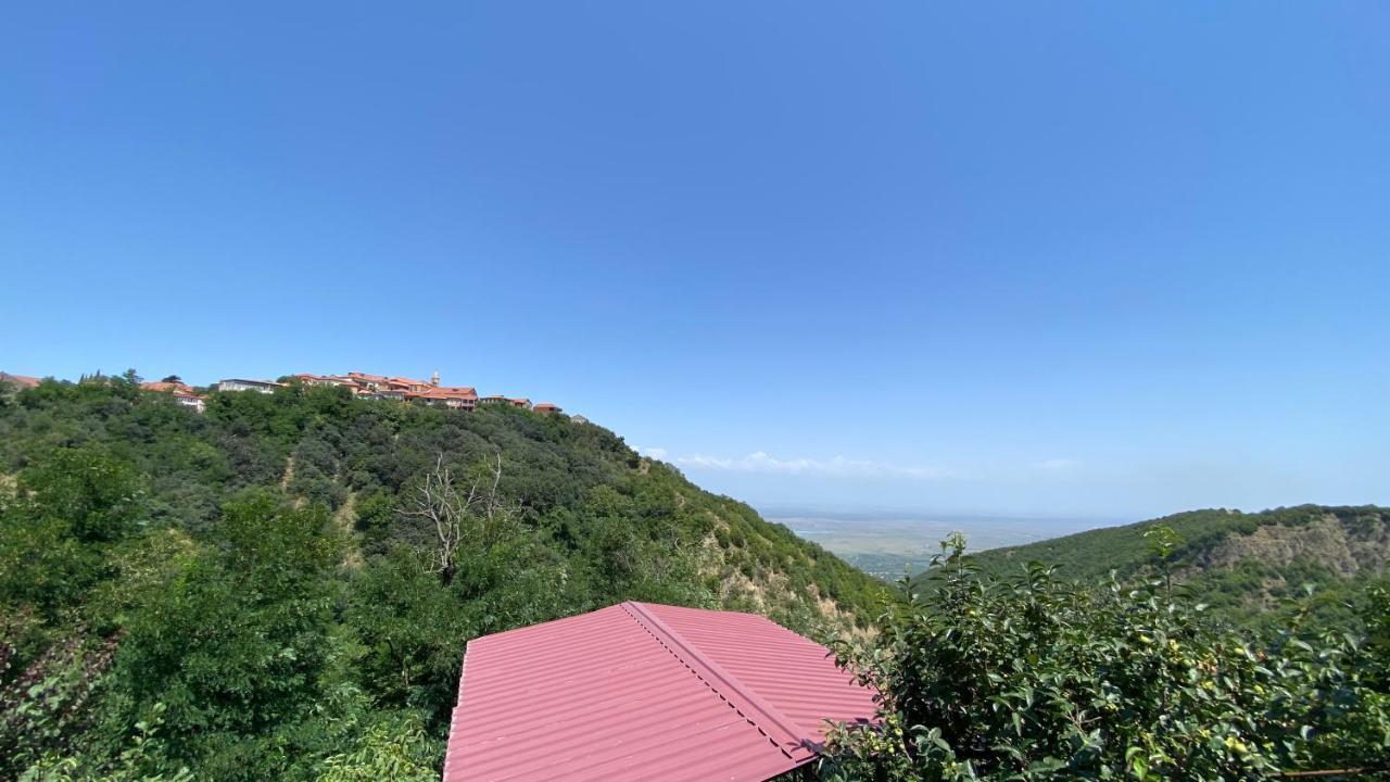 Lia'S Guest House Sighnaghi Zewnętrze zdjęcie