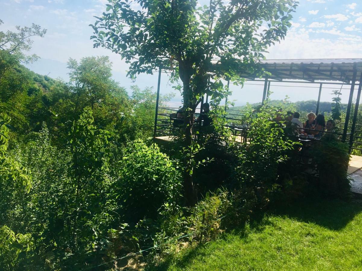 Lia'S Guest House Sighnaghi Zewnętrze zdjęcie